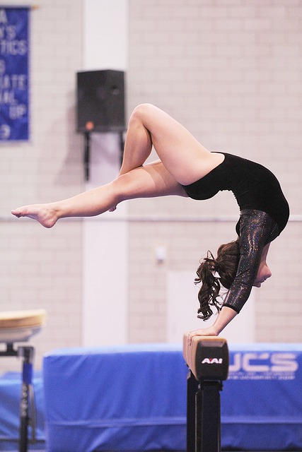 Ginnastica